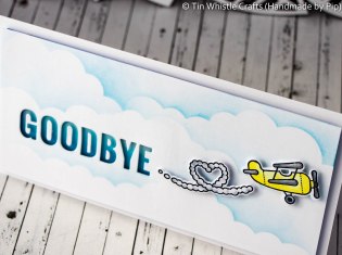 Goodbye Plane-1-3